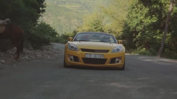 Couple heureux voiture de conduite sur une route forestière — Video