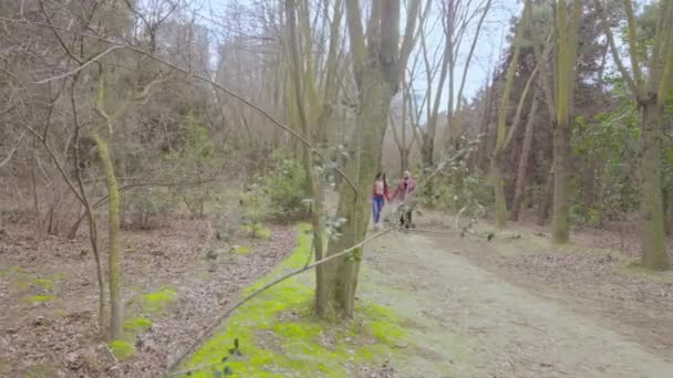 A Happy Couple In Love Walks In The Park And Embracing Romantic Couple Outdoor — Stock Video