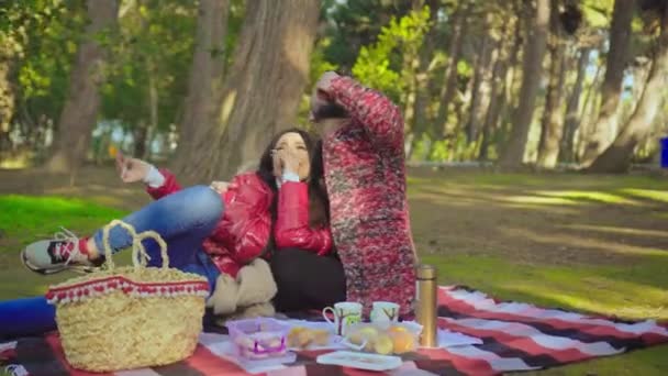 Paar picknicken op gras in het park — Stockvideo