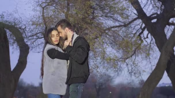 Pareja abrazándose y saliendo en un parque mirándose — Vídeos de Stock