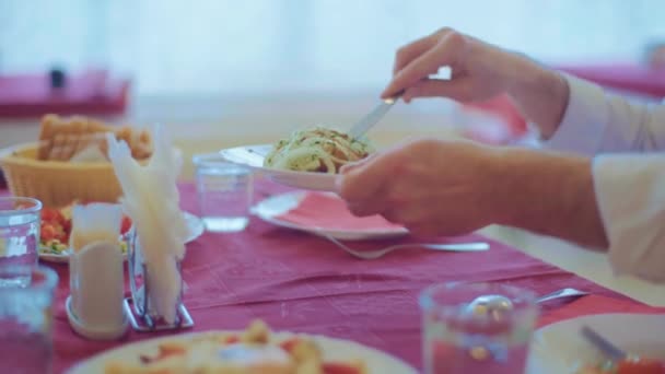 La carne en el plato se coloca en otro plato con un tenedor — Vídeos de Stock