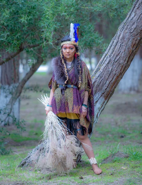 Портрет Индейской Женщины Открытом Воздухе Портрет Шаманки Шляпе Индийским Перышком — стоковое фото