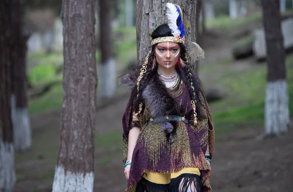 Yerli Amerikan Yerlisi Açık Havada Kadın Portresi Hint Tüyü Şapkalı — Stok fotoğraf