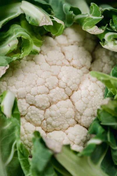 Macro Shot Cauliflower — Stock Photo, Image