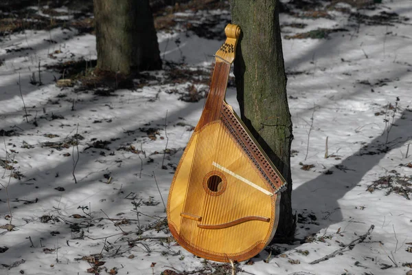 Fortfarande Livet Bandura Bredvid Ett Träd Snöig Mark Lund Gammal — Stockfoto