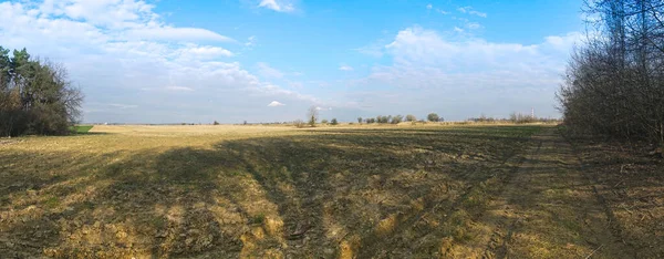 Panoramablick Auf Grasfeld Mit Schatten Von Bäumen Mit Blauem Himmel — Stockfoto