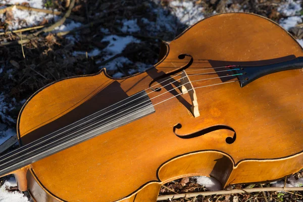 Violonchelo Sobre Naturaleza Invierno — Foto de Stock