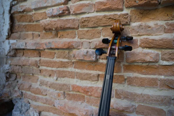 Cello Nature Winter — Stock Photo, Image