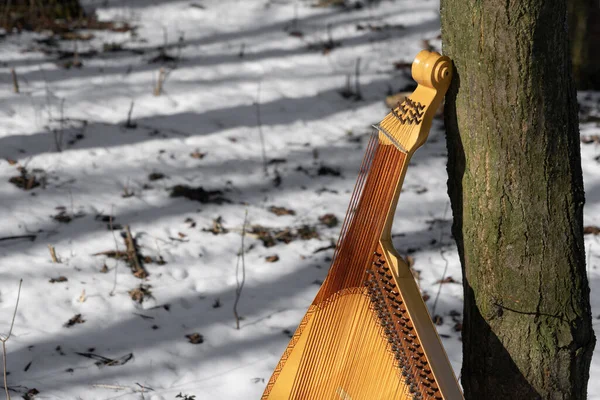 Fortfarande Livet Bandura Bredvid Ett Träd Snöig Mark Lund Gammal — Stockfoto