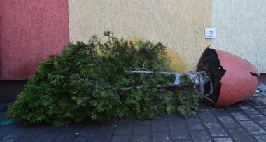 Kırık tencere, çiçekler ve toprak.