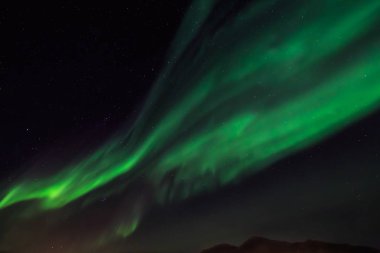 Yeşil Kuzey ışıkları ve Nuuk şehir, yeşil üzerinde stirlight gökyüzü