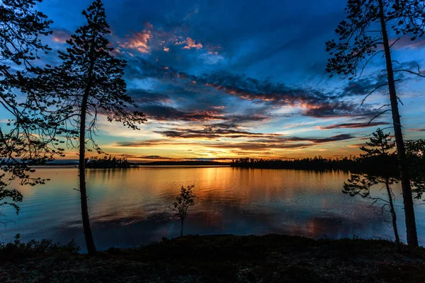 Orange sunset over the pine trees and lake  during the white nig — Stock Photo, Image