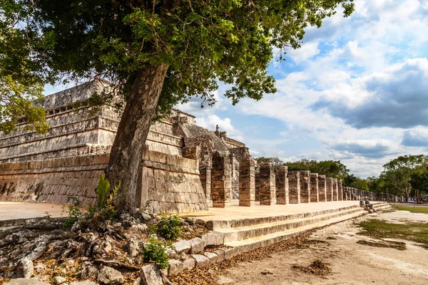 Grupo de miles de columnas complejo y árbol en primer plano, Chiche —  Fotos de Stock