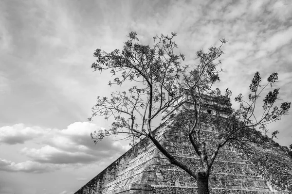 Templo Maya de Kukulcan o el Castillo, el centro de la Chiche — Foto de Stock