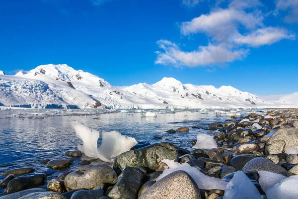 Береговая линия с камнями и холодными тихими водами антарктического морского лага — стоковое фото
