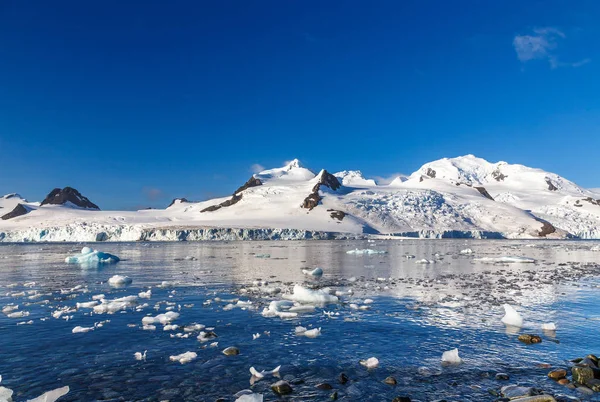 Linea costiera con pietre e fredde acque tranquille di ritardo antartico mare — Foto Stock