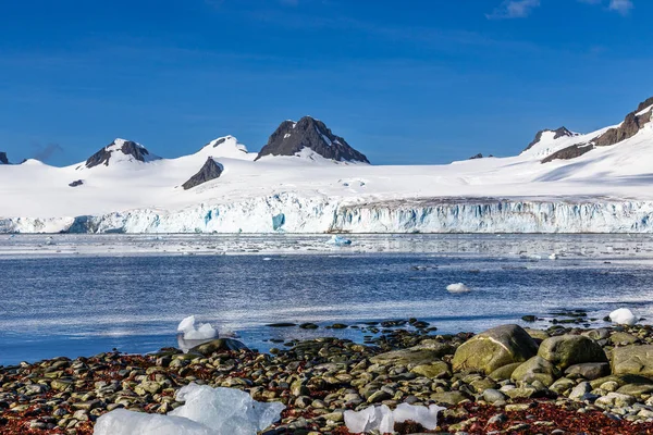 Küste mit Steinen und kaltem stillen Wasser der antarktischen See — Stockfoto