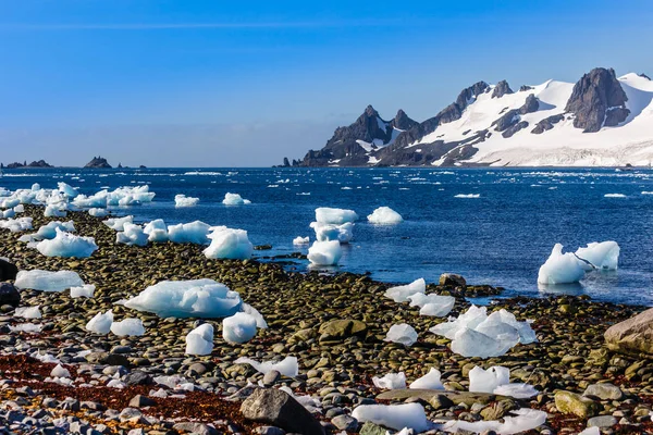 Linha costeira com pedras e gelo e águas paradas frias da antártica — Fotografia de Stock