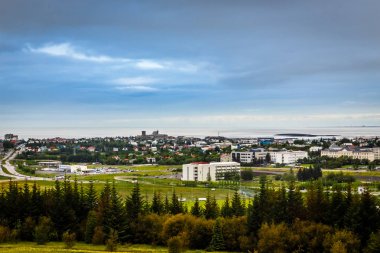 İzlanda sermaye panorama, sokakları ve resedential binalar wi