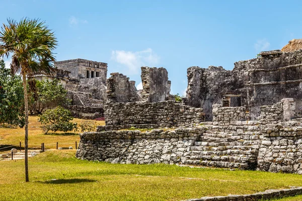 Antigos templos maias arruinados com palmeira e céu azul, Tu — Fotografia de Stock