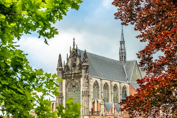 Hooglandse Kerk, oude protestantse gotische kathedraal, deels h — Stockfoto