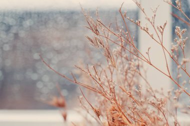 Yağmurlu bir günün pencere arka planında klasik renk tonuyla kapalı dekorasyon.