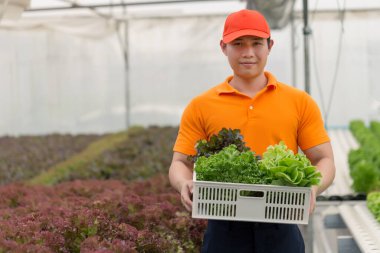 Asyalı teslimatçı sera çiftliğinden yiyecek sepetini alıyor. Müşteri-market alışveriş hizmeti konseptine teslimat yapıyor.