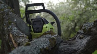 Yazın yeşil bahçedeki bir kütükte testere.