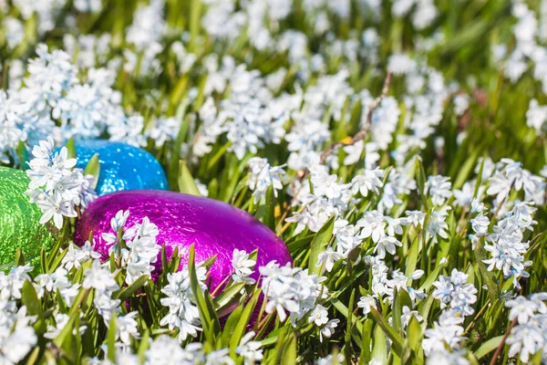 Colorful Traditional Swedish Easter Eggs Laying Field White Spring Flowers — Stock Photo, Image