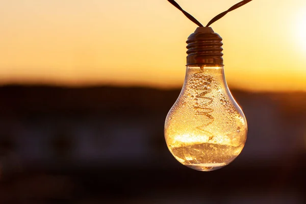 Vintage Light Bulbs Sunset Background Solar Power Concept Light Bulbs — Stock Photo, Image