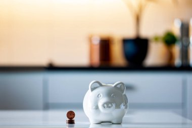 Kişisel finans, Amerikan dolarlarıyla bir domuz kumbarasının yakın çekimi - zenginlik ve finansal konsept. Ön planda beyaz domuz kumbarası.