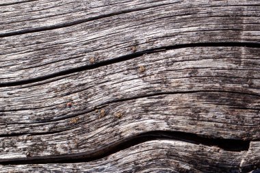 Doğal ahşap dokusu. Farklı dokulara sahip eski ağaç gövdesi