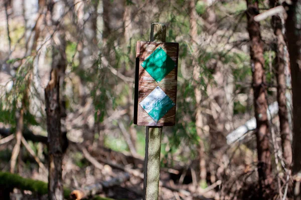 Green and white trail marker painted on a tree for hikers and tourists on a hiking trail - close up