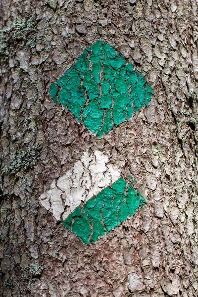 Green and white trail marker painted on a tree for hikers and tourists on a hiking trail - close up