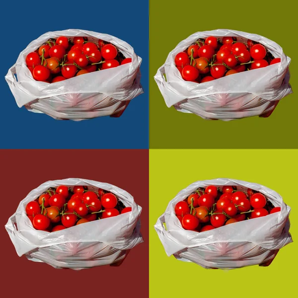 Colagem Artística Tomates Pop Arte — Fotografia de Stock