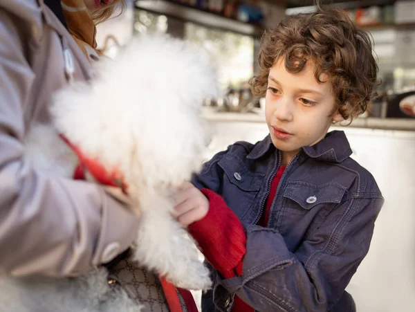 Sokakta Fino Köpeğini Okşayan Bir Çocuk Çocuklar Hayvan Yaşam Tarzı — Stok fotoğraf