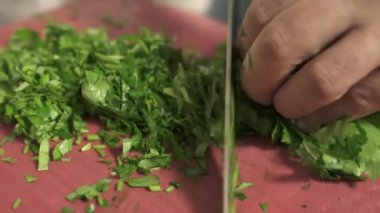 Türk mutfağından Türk yemeği ve kebabı