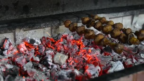 Turecki Posiłek Kebab Kuchni Tureckiej — Wideo stockowe