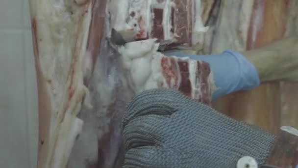 Κοπή Κρέατος Απόθεμα Βίντεο — Αρχείο Βίντεο