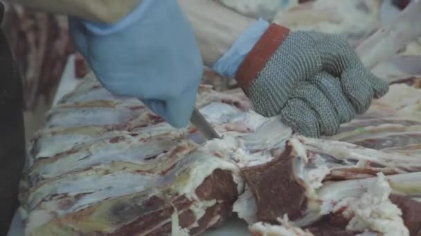 Corte Carne Stock Video — Vídeo de stock
