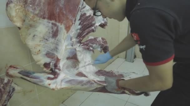 Corte Carne Estoque Vídeo — Vídeo de Stock