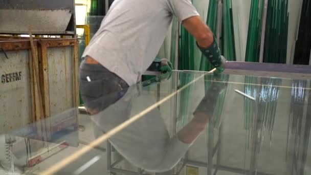 Blick Aus Der Glasfabrik — Stockvideo