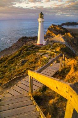 Gündoğumu renklerinde Castlepoint deniz fenerinin panoramik manzara manzarası, beyaz simge, Kuzey Adası, Yeni Zelanda 'da turist popülerliği / varış noktası. 