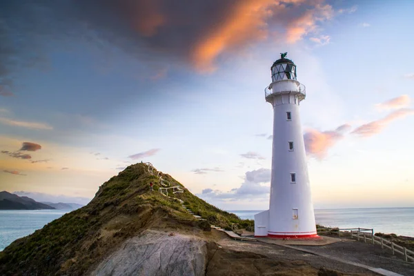 Gündoğumu renklerinde Castlepoint deniz fenerinin panoramik manzara manzarası, beyaz simge, Kuzey Adası, Yeni Zelanda 'da turist popülerliği / varış noktası. 