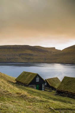Vagar Adası 'nda çimen (çim) çatılı geleneksel tarihi ahşap ev / bina manzarası. Faroe Adaları 'nda (Danimarka) turist popülerliği)