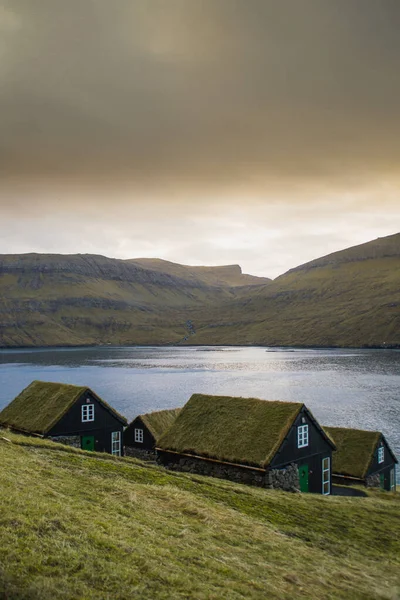 Landschappelijk Uitzicht Traditionele Historische Stenen Houten Huis Gebouw Met Gras — Stockfoto