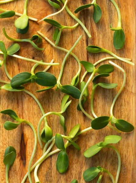 Fondo Alimenticio Micro Pueblo Sobre Fondo Madera Vista Superior Cerca — Foto de Stock