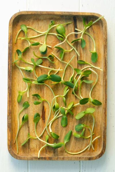 Microgreens Una Bandeja Madera Sobre Fondo Madera Claro Formato Vertical — Foto de Stock