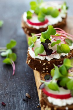 Sağlıklı atıştırmalıklar: evde yetişen tahıllı ekmek, ev yapımı peynir ve mikro-yeşilliklerden yapılan sandviçler. Koyu tahta arkaplan, dikey biçim, yakın plan.