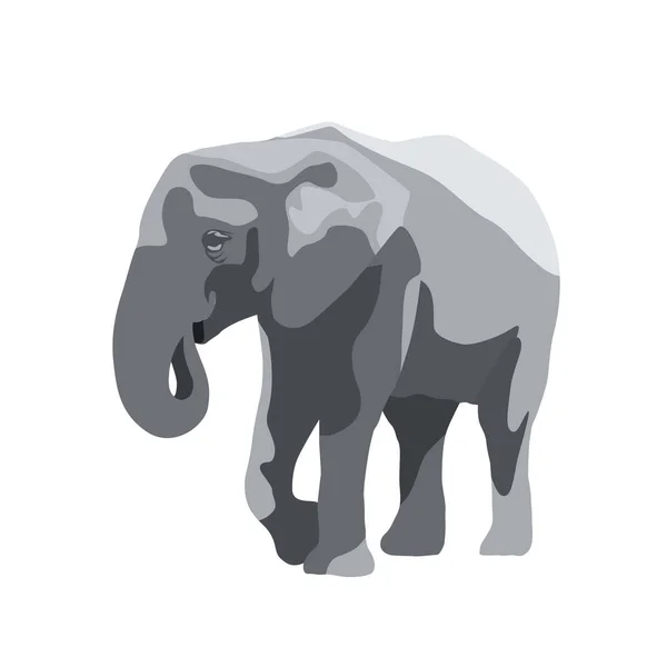 Elefante ilustración vectorial aislado, animal grande salvaje — Vector de stock